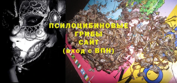 мдпв Мегион