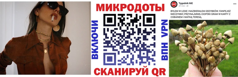 дарнет шоп  Магадан  Галлюциногенные грибы мухоморы 