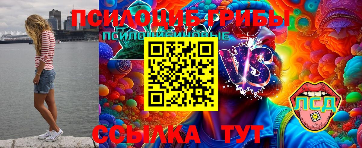 Лсд 25  Магадан  Codein  Кокаин  Гашиш  Марихуана  Меф МЯУ МЯУ   А ПВП СОЛЬ кристаллы  Вход с VPN 