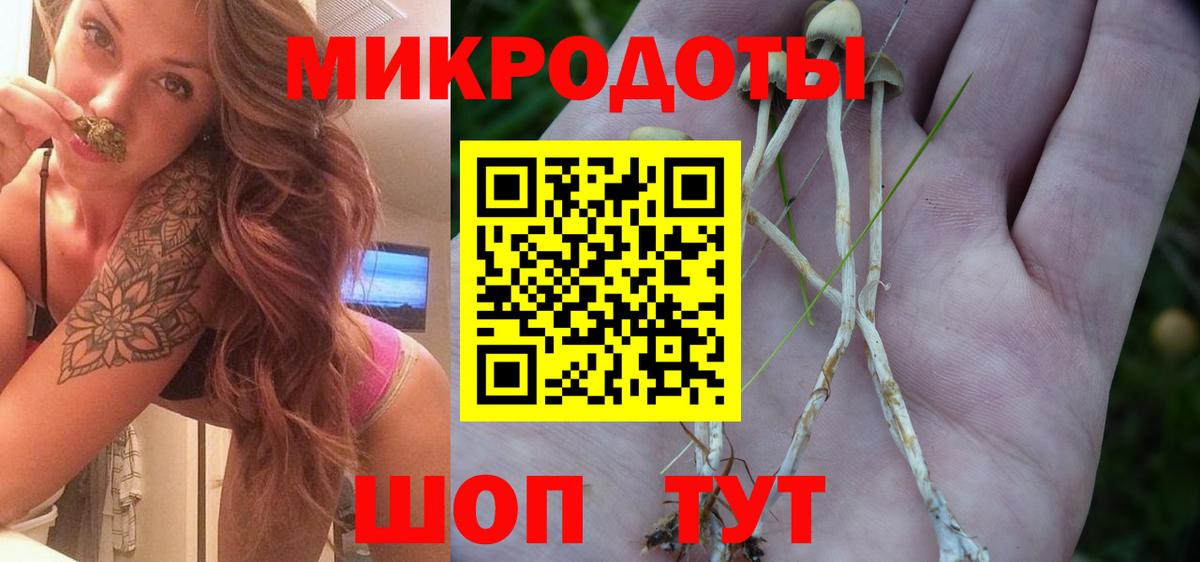 Псилоцибиновые грибы Magic Shrooms Магадан