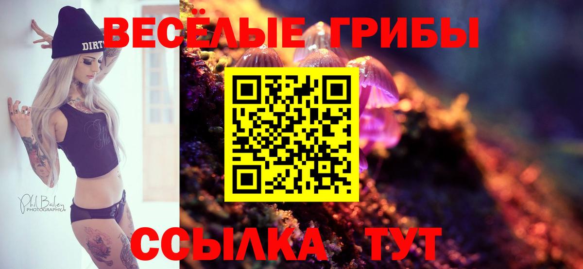 Псилоцибиновые грибы Magic Shrooms Магадан