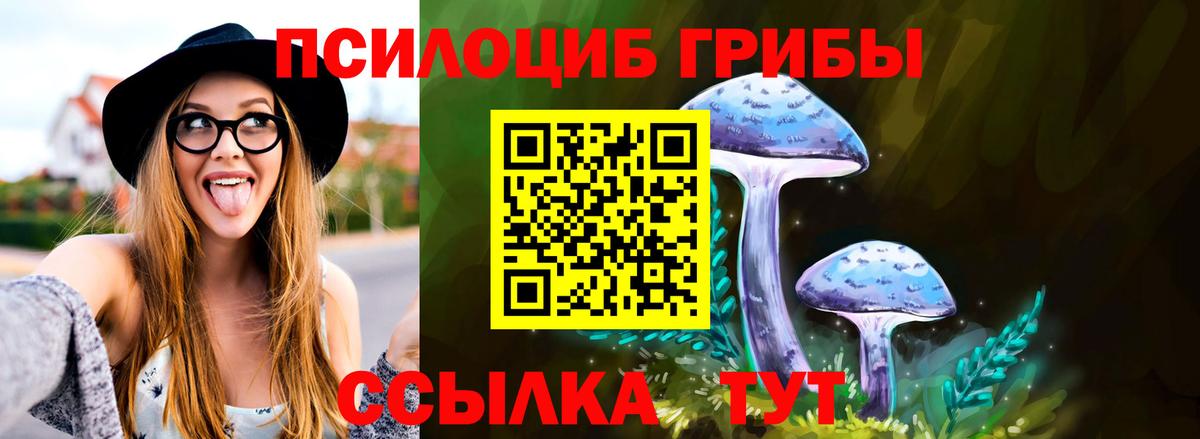Магадан  цена   Вход с VPN  Псилоцибиновые грибы GOLDEN TEACHER 