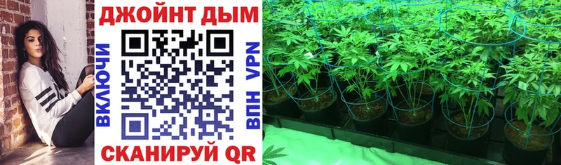 купить закладку  Магадан  darknet как зайти  Каннабис сатива 